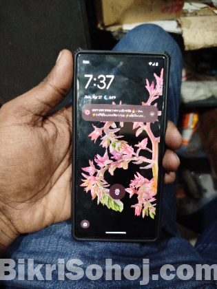 Pixel 6 Usa varient